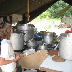 Hoeveel vliegen hangen er al aan - Scouts en Gidsen Zaventem 